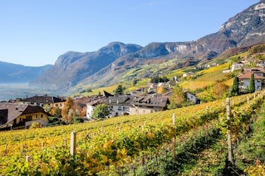 Trentino wine tasting private tour